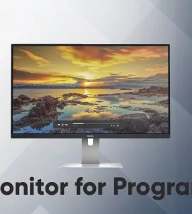 best monitor for programming
