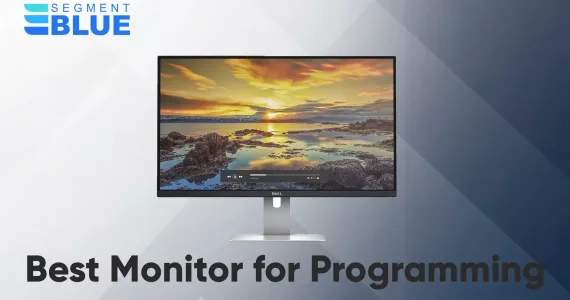 best monitor for programming